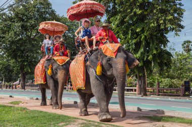 Ayutthaya bir Elephant Ride tur turist