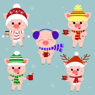 Beş-domuzlar farklı şapka ve atkı bir dizi farklı sıcak içecekler bardak ile. Mutlu yeni yıl ve mutlu Noeller. Sembol, Çin yeni yılı. Vektör.