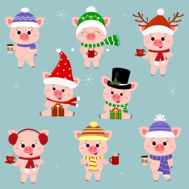 Bir dizi farklı şapka ve atkı sekiz domuzlar. Bir fincan çeşitli sıcak içecekler ve bir hediye tutun. Mutlu yeni yıl ve mutlu Noeller. Sembol, Çin yeni yılı. Vektör.