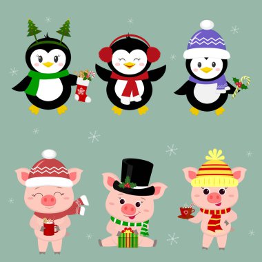 Yeni yıl ve Noel kartı. Üç domuz yavruları ve üç penguenler bir dizi farklı şapka ve pozlar kışın normaldir. Hediye kutusu, şeker, sıcak içecek. Stil karikatür, vektör