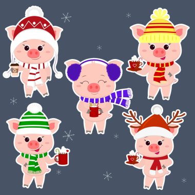 Bir dizi beş farklı şapka ve atkı domuzlarda etiketlileri farklı bardak sıcak beyaz darbede içer. Mutlu yeni yıl ve mutlu Noeller. Sembol, Çin yeni yılı. Vektör.