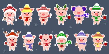 Bir dizi farklı kapaklar domuzlarda ile on iki sopa ve bir eşarp ile farklı bardak sıcak beyaz darbede içer. Mutlu yeni yıl ve mutlu Noeller. Sembol, Çin yeni yılı. Vektör