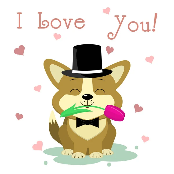 Gefeliciteerd s dag van de Valentijnskaart. Een schattige puppy voor corgi in een hoed en een ' bow-tie zit en bezit een tulip bloem tegen de achtergrond van drie harten. Plat ontwerp, cartoon stijl, vector — Stockvector