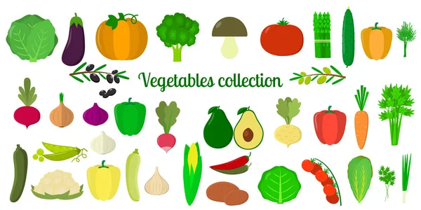 设置蔬菜和绿色的集合，巨型图标集308元素在白色背景。为您的设计卡，剪贴簿，手工。平面设计，矢量插图 — 图库矢量图片