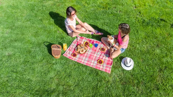 Female friends with dog having picnic in park, girls sitting on grass and eating healthy meals outdoors, aerial view from above