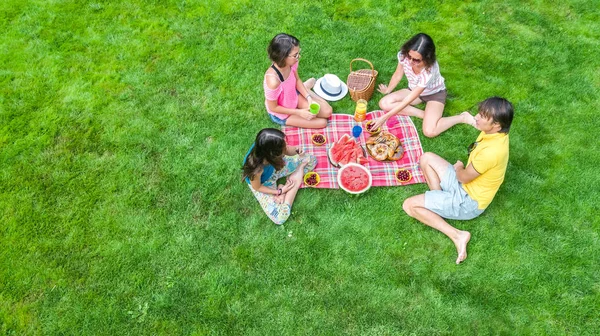 幸せな家族のピクニックの公園 親を持つ子供の草の上に座って 外で健康的な食事を食べ 家族での休暇や週末の概念の上から空撮 — ストック写真