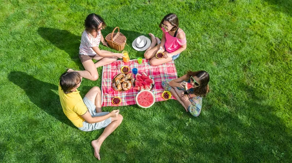 幸せな家族のピクニックの公園 親を持つ子供の草の上に座って 外で健康的な食事を食べ 家族での休暇や週末の概念の上から空撮 — ストック写真