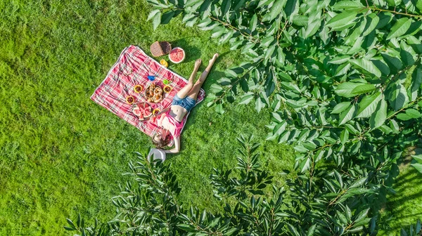 美丽的年轻女孩在草地上放松 在户外公园的夏季野餐 从上面鸟瞰 — 图库照片