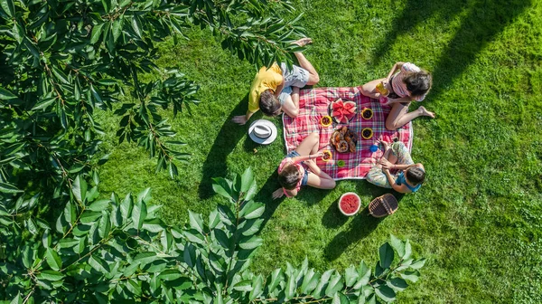 Glückliche Familie Mit Picknick Park Eltern Mit Kindern Auf Gras — Stockfoto