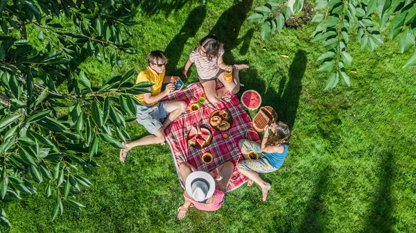 Ευτυχισμένη Οικογένεια Έχοντας Πικνίκ Στο Πάρκο Γονείς Παιδιά Κάθεται Στο — Φωτογραφία Αρχείου
