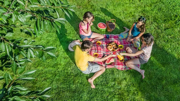 幸せな家族のピクニックの公園 親を持つ子供の草の上に座って 外で健康的な食事を食べ 家族での休暇や週末の概念の上から空撮 — ストック写真