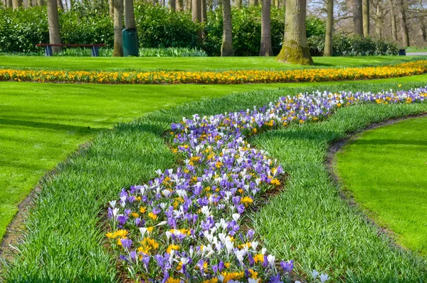 Piękne Kolorowe Wiosenne Kwiaty Parku Holandii Holandia — Zdjęcie stockowe