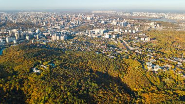 Altın Sonbahar arka plan, sarı ağaçları ve güzel göl manzara yukarıdan, Kiev, Goloseevo orman, Ukrayna ile orman hava dron görünümünü