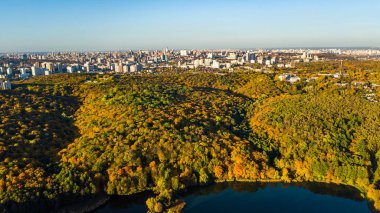 Altın Sonbahar arka plan, sarı ağaçları ve güzel göl manzara yukarıdan, Kiev, Goloseevo orman, Ukrayna ile orman hava dron görünümünü