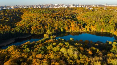 Altın Sonbahar arka plan, sarı ağaçları ve güzel göl manzara yukarıdan, Kiev, Goloseevo orman, Ukrayna ile orman hava dron görünümünü