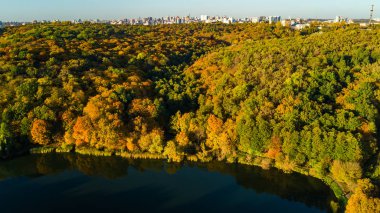 Altın Sonbahar arka plan, sarı ağaçları ve güzel göl manzara yukarıdan, Kiev, Goloseevo orman, Ukrayna ile orman hava dron görünümünü