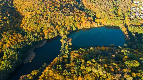 Gyllene Höst Bakgrund Antenn Drönarvy Skog Med Gula Träd Och — Stockfoto