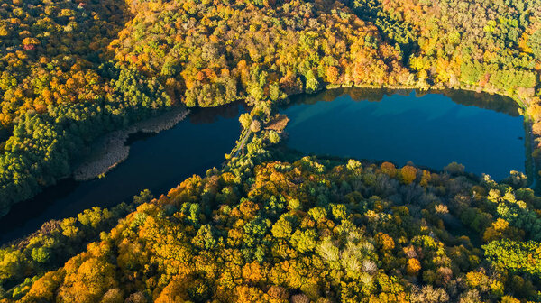 Golden autumn background, aerial drone view of forest with yellow trees and beautiful lake landscape from above, Kiev, Goloseevo forest, Ukraine