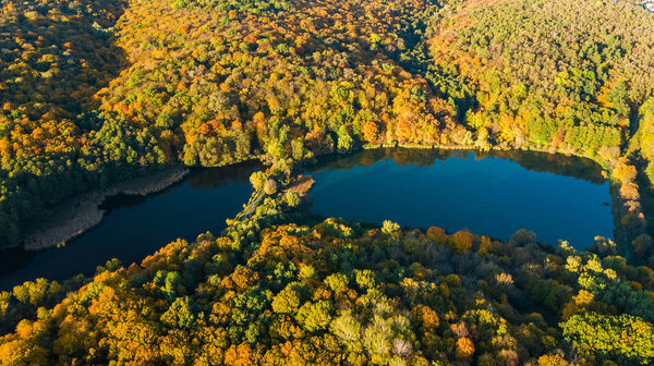 Golden autumn background, aerial drone view of forest with yellow trees and beautiful lake landscape from above, Kiev, Goloseevo forest, Ukraine