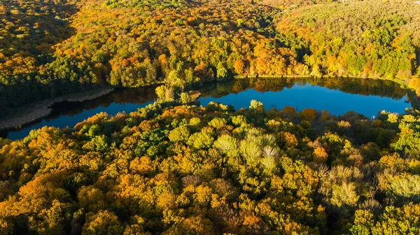 Fondo Dorado Otoño Vista Aérea Drones Del Bosque Con Árboles — Foto de Stock