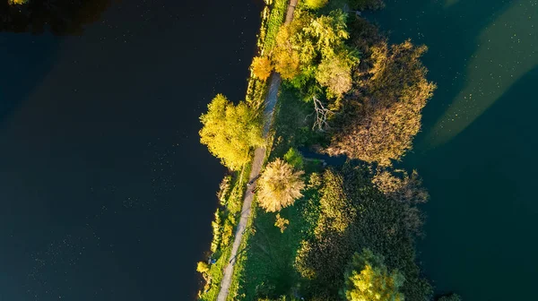 Złotej Jesień Tło Antenowe Drone Widok Lasu Żółte Drzewa Piękne — Zdjęcie stockowe