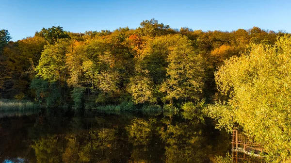 Fundo Outono Dourado Vista Aérea Drone Floresta Com Árvores Amarelas — Fotografia de Stock