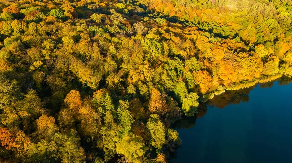 Fondo Dorado Otoño Vista Aérea Drones Del Bosque Con Árboles —  Fotos de Stock