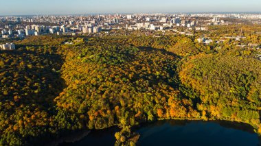 Altın Sonbahar Kiev cityscape, hava uçak görünümü orman sarı ağaçları ve güzel manzara yukarıdan, Kiev, Goloseevo orman, Ukrayna ve şehir manzarası