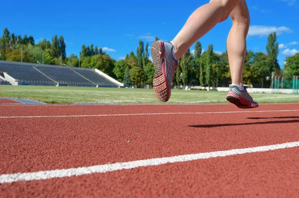 Runner Kobiece Nogi Buty Stadion Śledzić Kobieta Lekkoatletka Uruchomiona Wypracowanie — Zdjęcie stockowe