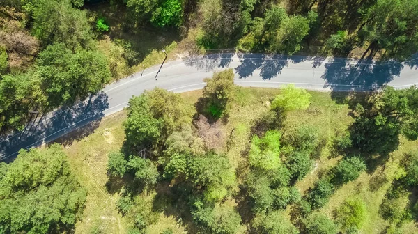 Vue Aérienne Route Forestière Parc Avec Des Pistes Cyclables Haut — Photo