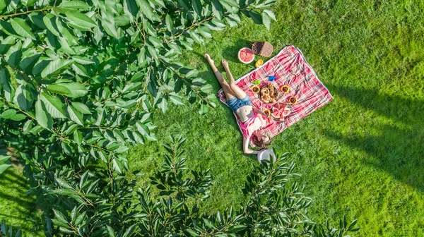 Hermosa Chica Joven Que Relaja Hierba Teniendo Picnic Verano Parque — Foto de Stock