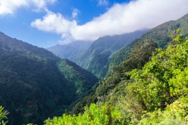 Madeira adası güzel dağ manzara, Portekiz