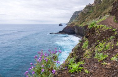 Madeira adası okyanus ve dağlar manzara, San Lorenco cape, Portekiz
