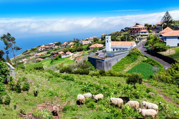 Красивый Город Горный Ландшафт Острова Мадейра Мирадору Фью Португалия — стоковое фото