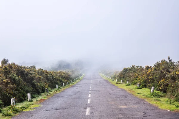 Дорога Туман Містливий Краєвид Острів Мадейра Португалія — стокове фото