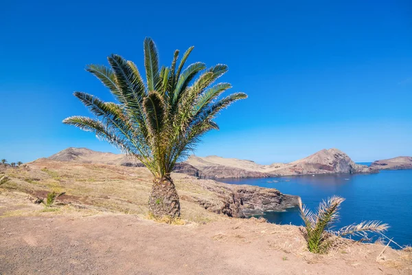 Madeira Szigetek Óceán Hegyek Táj San Lorenco Köpeny Portugália — Stock Fotó