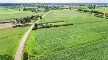 Yukarıdan kanal yakınındaki yeşil alanların ve çiftlik evlerinin havadan drone görünümü, tipik Hollanda manzarası, Hollanda, Hollanda