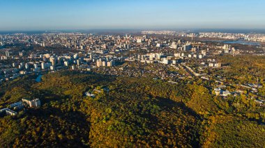 Altın Sonbahar arka plan, sarı ağaçları ve güzel göl manzara yukarıdan, Kiev, Goloseevo orman, Ukrayna ile orman hava dron görünümünü