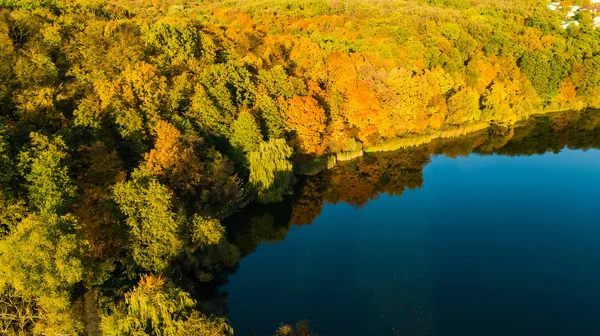 Golden Autumn Background Aerial Drone View Forest Yellow Trees Beautiful — Stock Photo, Image