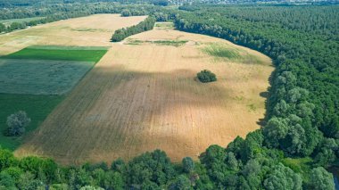 Kuşlar, ıssız bir orman adası, yukarıdan yeşil ağaçlar ve çayırların bulunduğu kırsal araziyi havadan görüyorlar.