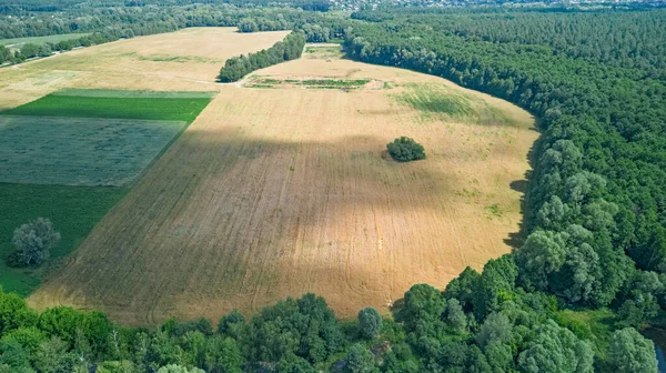 Kuşlar, ıssız bir orman adası, yukarıdan yeşil ağaçlar ve çayırların bulunduğu kırsal araziyi havadan görüyorlar.