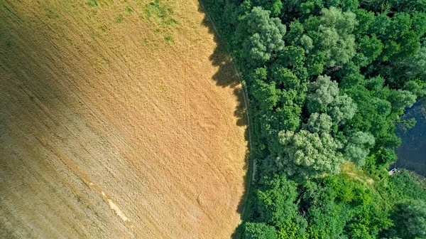 Вид Сверху Высоты Птичьего Полёта Сельское Поле Изолированной Лесной Зоной — стоковое фото