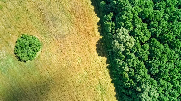 Vista Aérea Aérea Aérea Aves Del Campo Rural Con Área —  Fotos de Stock