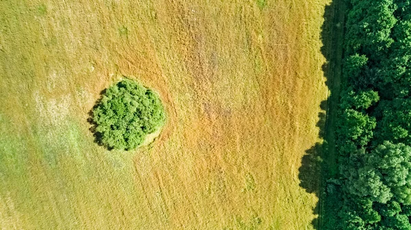 Vista Aérea Aérea Aérea Aves Del Campo Rural Con Área —  Fotos de Stock