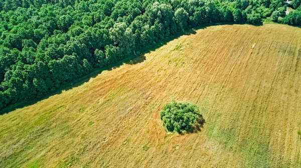 Vista Aérea Aérea Aérea Aves Del Campo Rural Con Área —  Fotos de Stock