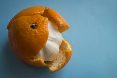Mandalina derisi sarımsak, aldatılmış umutlar. Hayal kırıklığı, tatsız bir sürpriz, sahtekarlık, ikiyüzlülük. Mavi arkaplan, üst görünüm.