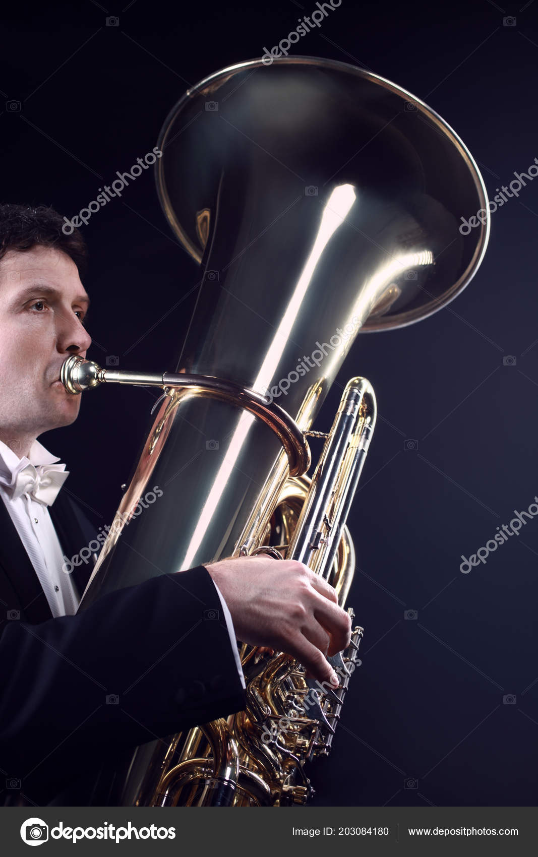 Tuba Player Brass Instrument Classical Musician Playing Orchestra Bass