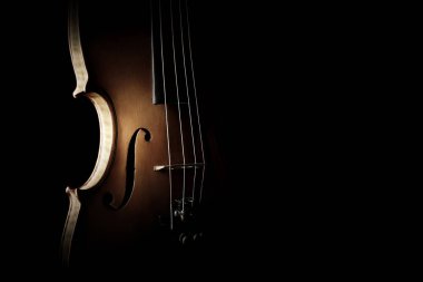 Keman Orkestrası müzik aletleri. siluet dize portre siyah