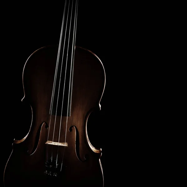 Violin Orkester Musik Instrument Närbild Isolerad Svart Bakgrund — Stockfoto