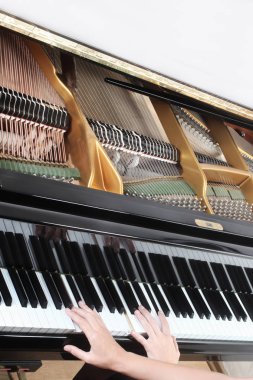 Piyano çalar. Piyanist oynarken piyano klavye closeup eller. Müzik enstrümanı yakın çekim